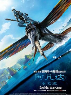 长月烛心